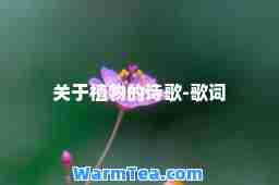 关于植物的诗歌-歌词