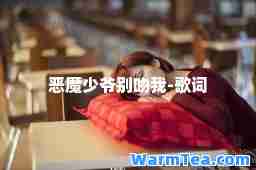 恶魔少爷别吻我-歌词