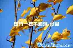 斑竹一枝千滴泪-歌词
