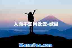 人面不知何处去-歌词