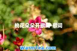 桃花朵朵开歌词-歌词