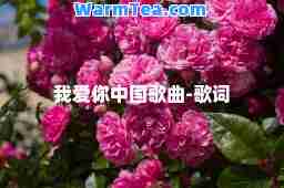 我爱你中国歌曲-歌词