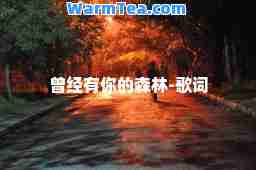曾经有你的森林-歌词