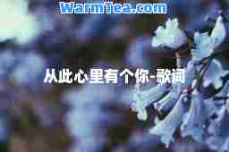 从此心里有个你-歌词