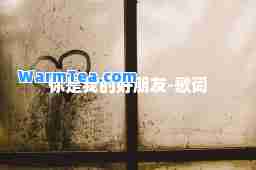 你是我的好朋友-歌词