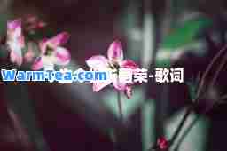 今生今世张国荣-歌词