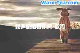 我多想抱着你哭-歌词