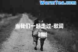 当我们一起走过-歌词