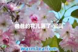 爸爸的花儿落了-歌词