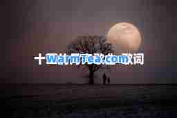 十五的月亮歌曲-歌词