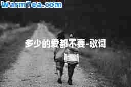 多少的爱都不要-歌词