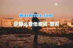 你那么爱他歌词-歌词