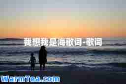 我想我是海歌词-歌词