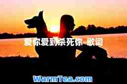 爱你爱到杀死你-歌词