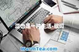 混也是一种生活-歌词