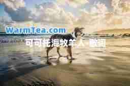 可可托海牧羊人-歌词