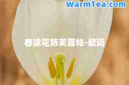 春浓花娇芙蓉帐-歌词