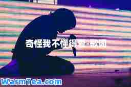 奇怪我不懂得爱-歌词