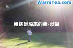 我还是原来的我-歌词