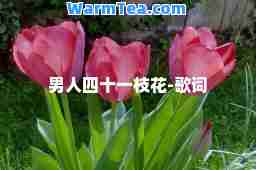 男人四十一枝花-歌词