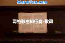 网络歌曲排行榜-歌词