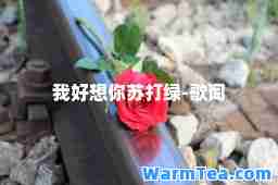 我好想你苏打绿-歌词
