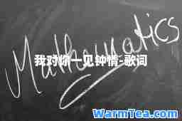 我对你一见钟情-歌词
