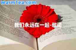 我们永远在一起-歌词