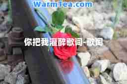你把我灌醉歌词-歌词