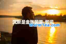 沉默是金张国荣-歌词