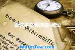 爱你不需要理由-歌词