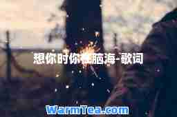 想你时你在脑海-歌词