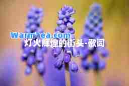 灯火辉煌的街头-歌词