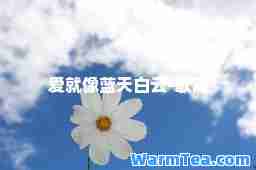 爱就像蓝天白云-歌词