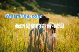 我听见你的声音-歌词