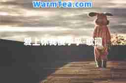 爱上你我傻乎乎-歌词