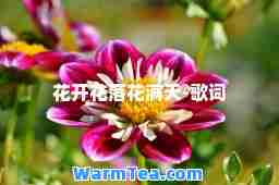 花开花落花满天-歌词