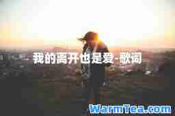 我的离开也是爱-歌词