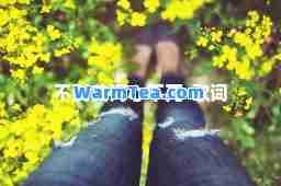 不到黄河心不死-歌词