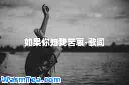如果你知我苦衷-歌词