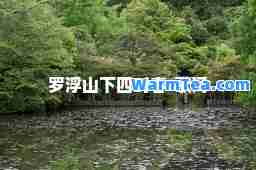 罗浮山下四时春-歌词