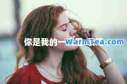 你是我的一滴泪-歌词