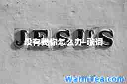 没有我你怎么办-歌词