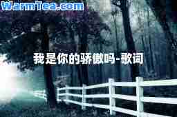 我是你的骄傲吗-歌词