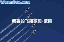 我要的飞翔歌词-歌词