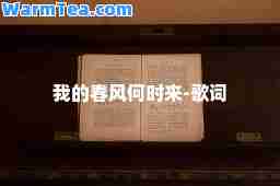 我的春风何时来-歌词