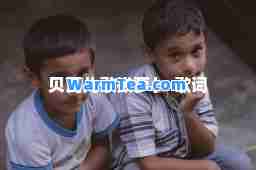 贝瓦儿歌拔萝卜-歌词