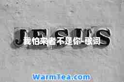 我怕来者不是你-歌词