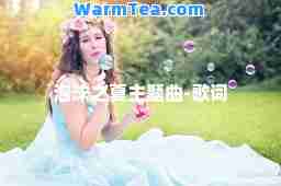 泡沫之夏主题曲-歌词