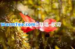 红太阳歌曲联唱-歌词